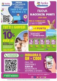 Volantino Ayoka Pagina 8