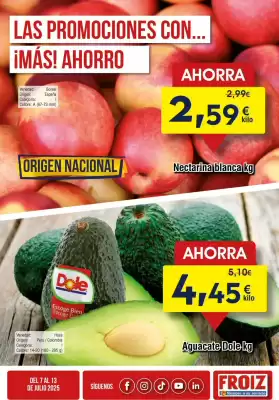 Folleto FROIZ (válido hasta el 13-07)