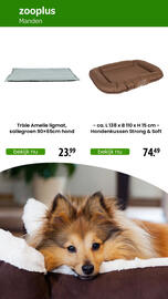 Zooplus folder Pagina 16