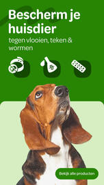 Zooplus folder Pagina 21