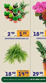 Catálogo Supermercados Avenida Página 14