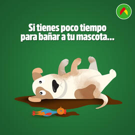 Catálogo Bodega Aurrerá semana 28 Página 1
