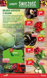 Polomarket gazetka tydzień 28 Strona 20