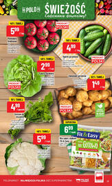 Polomarket gazetka tydzień 28 Strona 21