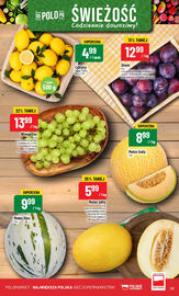 Polomarket gazetka tydzień 28 Strona 23