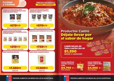 Catálogo Comercial Castro Página 6