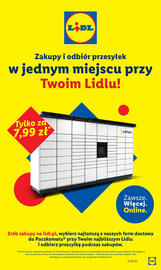 Lidl gazetka tydzień 29 Strona 25