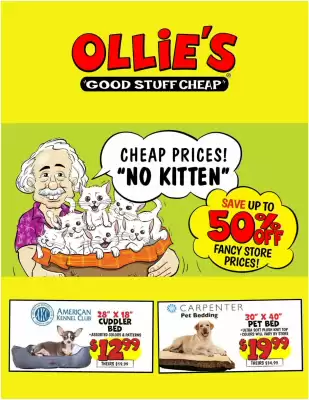 Ollie's Weekly Ad (valid until 16-07)