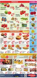 Strack & Van Til Weekly Ad week 28 Page 10