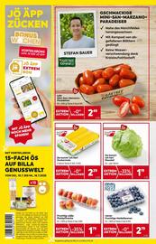 Billa Flugblatt woche 28 Seite 4