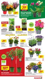 toom Baumarkt Prospekt woche 28 Seite 3
