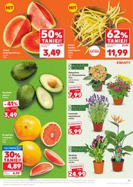 Kaufland gazetka tydzień 28 Strona 19