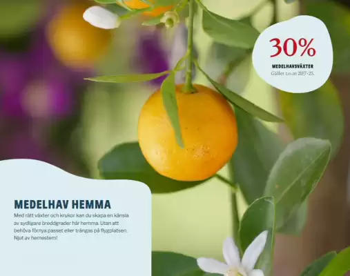 Blomsterlandet reklamblad