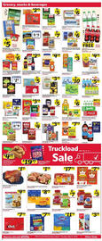 Winn Dixie Weekly Ad week 28 Page 5