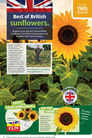 Aldi leaflet Page 20