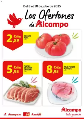 Folleto Alcampo (válido hasta el 10-07)