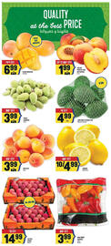 Marché Adonis flyer week 28 Page 4