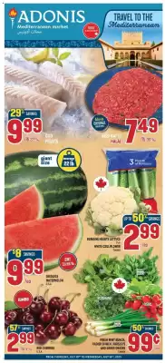Marché Adonis flyer (valid until 16-07)