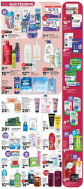 Brunet flyer Page 5