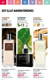 Oriflame akciós újság Oldal 46