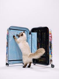 Samsonite Flugblatt Seite 1