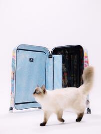 Samsonite Flugblatt Seite 3