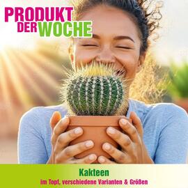 Blumen B&B Flugblatt Seite 1