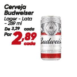 Catálogo Dia Página 13