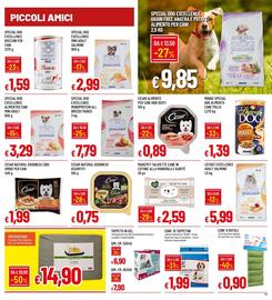 Volantino IperFamila Pagina 19