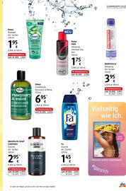 dm Flugblatt Seite 13