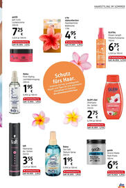 dm Flugblatt Seite 19