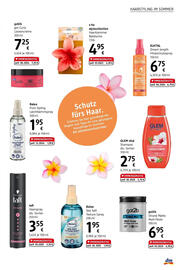 dm Flugblatt Seite 19