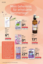 dm Flugblatt Seite 4