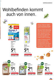 dm Flugblatt Seite 7