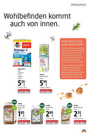 dm Flugblatt Seite 7