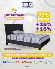 Catálogo IBG Página 2