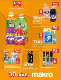 Catálogo Makro Página 21