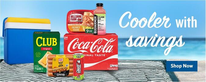 Food Lion Weekly Ad week 28 Page 10