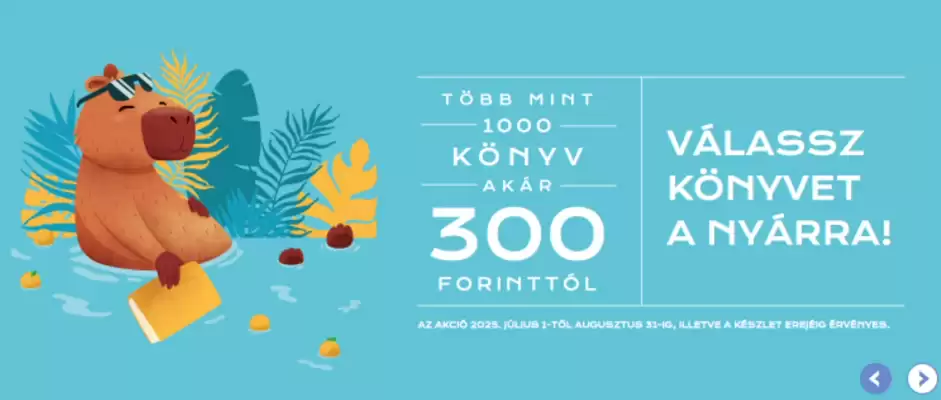 Líra akciós újság (érvényes eddig: 31-08)