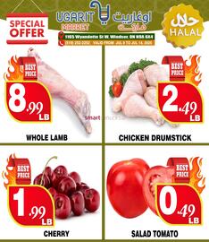 Ugarit Market flyer week 28 Page 1
