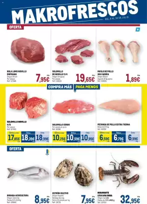 Folleto Makro (válido hasta el 14-07)