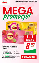Dino gazetka tydzień 28 Strona 1