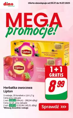 Dino gazetka (ważność do 15-07)