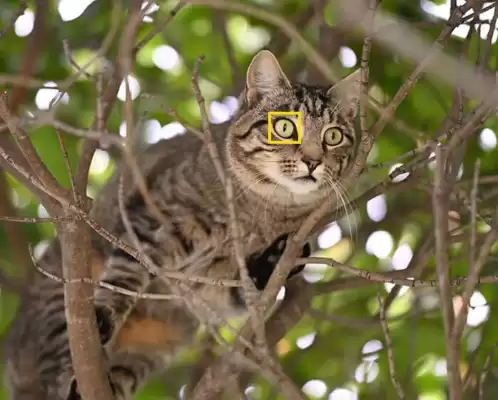 Catálogo Nikon (válido hasta 13-07)