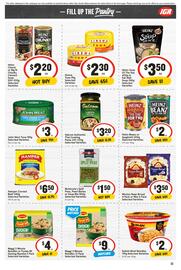 IGA catalogue week 28 Page 20
