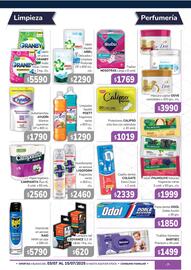 Catálogo Beltrán Supermercados Página 13