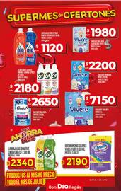 Catálogo Supermercados DIA semana 28 Página 21
