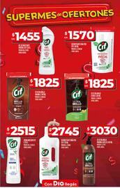 Catálogo Supermercados DIA semana 28 Página 60