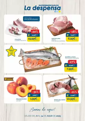 Folleto Supermercados La Despensa (válido hasta el 14-07)