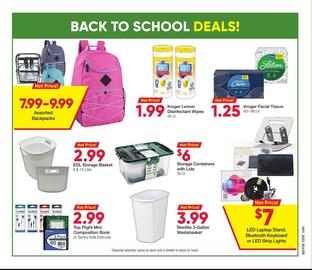 Ruler Foods Weekly Ad Page 7